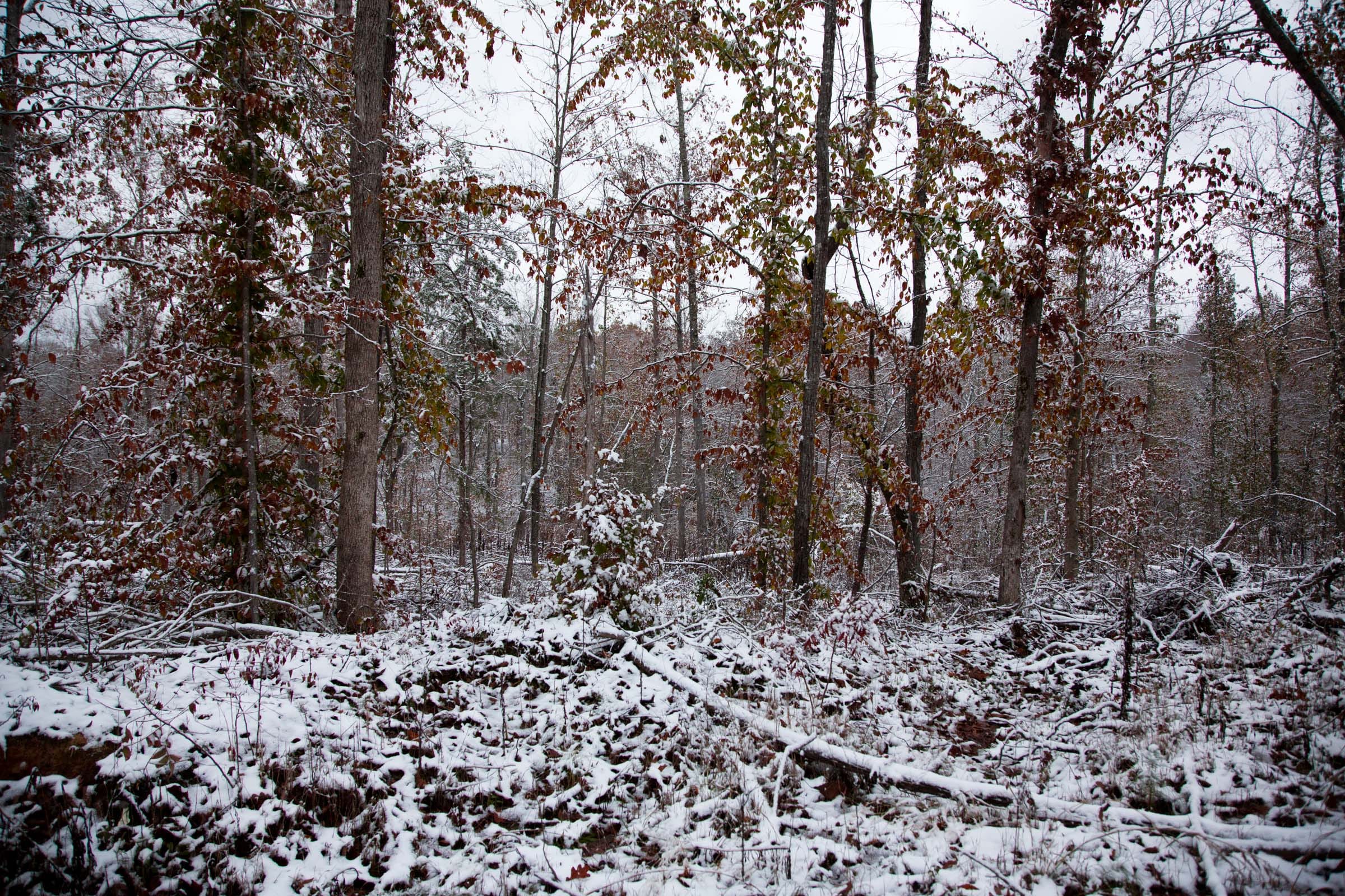 Sweet Water Ranch Tract 8 photo 6