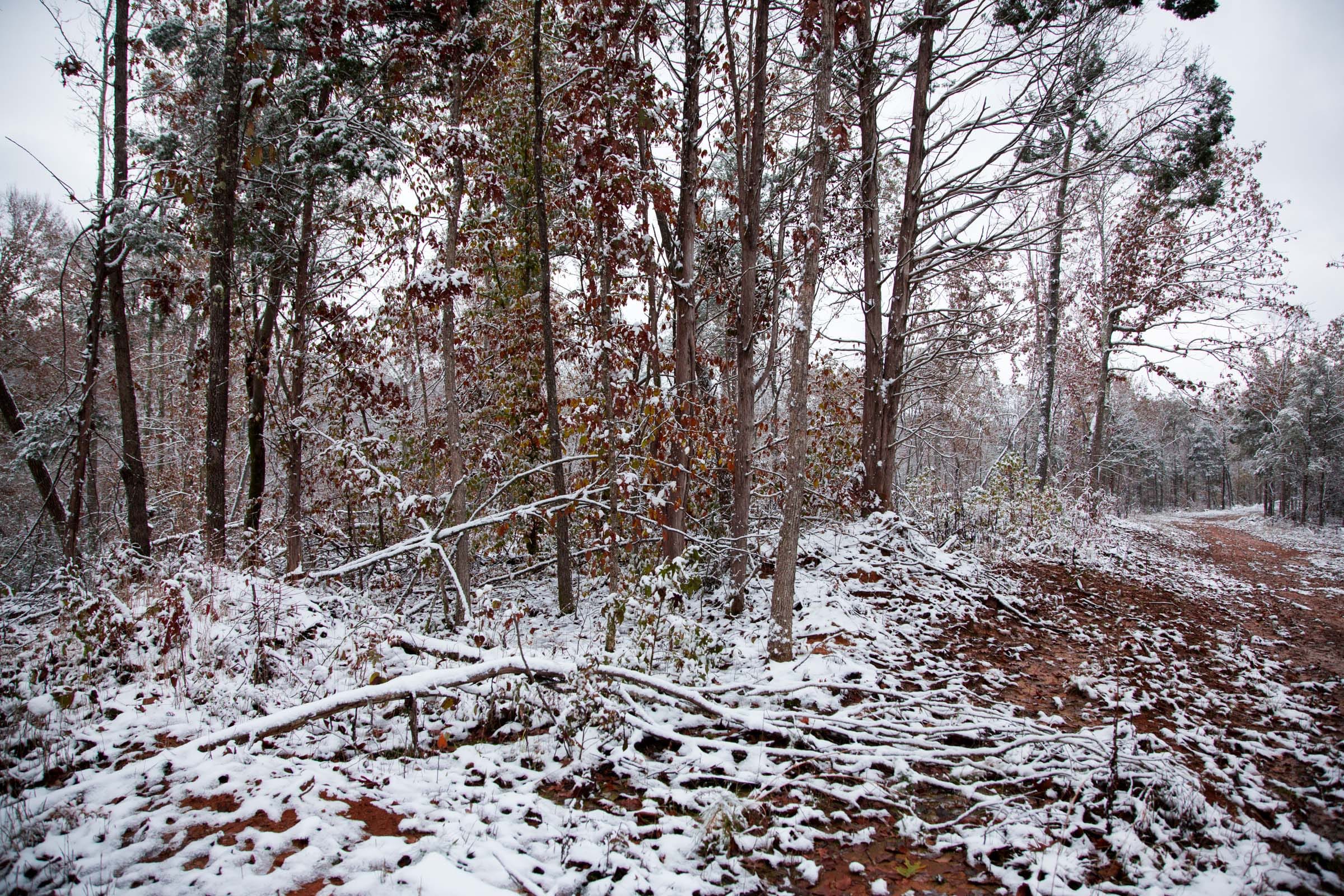 Sweet Water Ranch Tract 8 photo 7