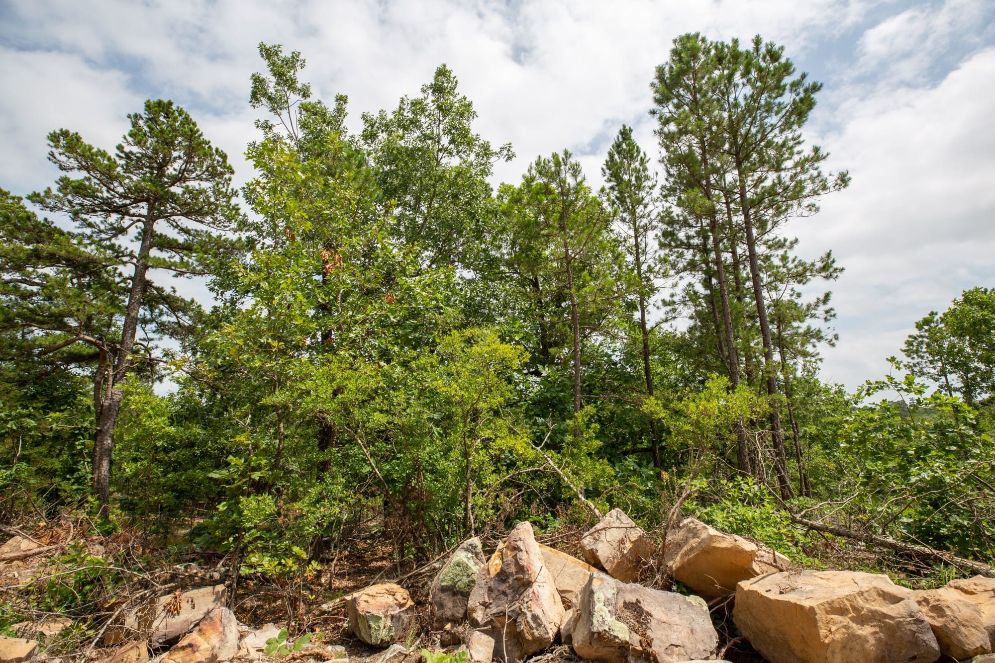 Eagle’s Nest Tract 27 photo 3