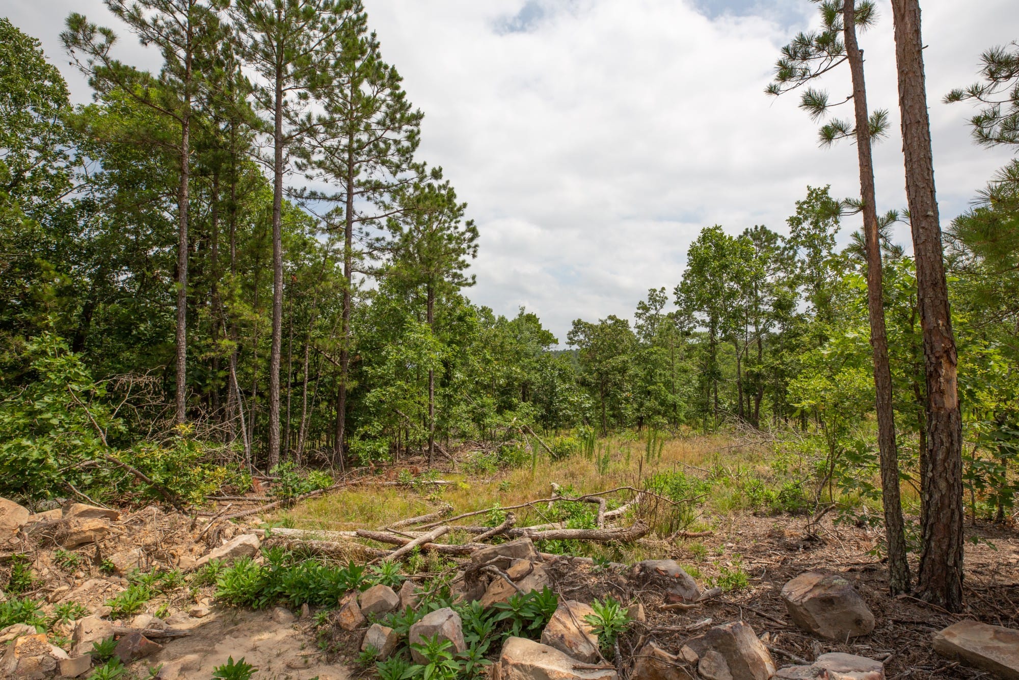 Eagle’s Nest Tract 27 photo 4