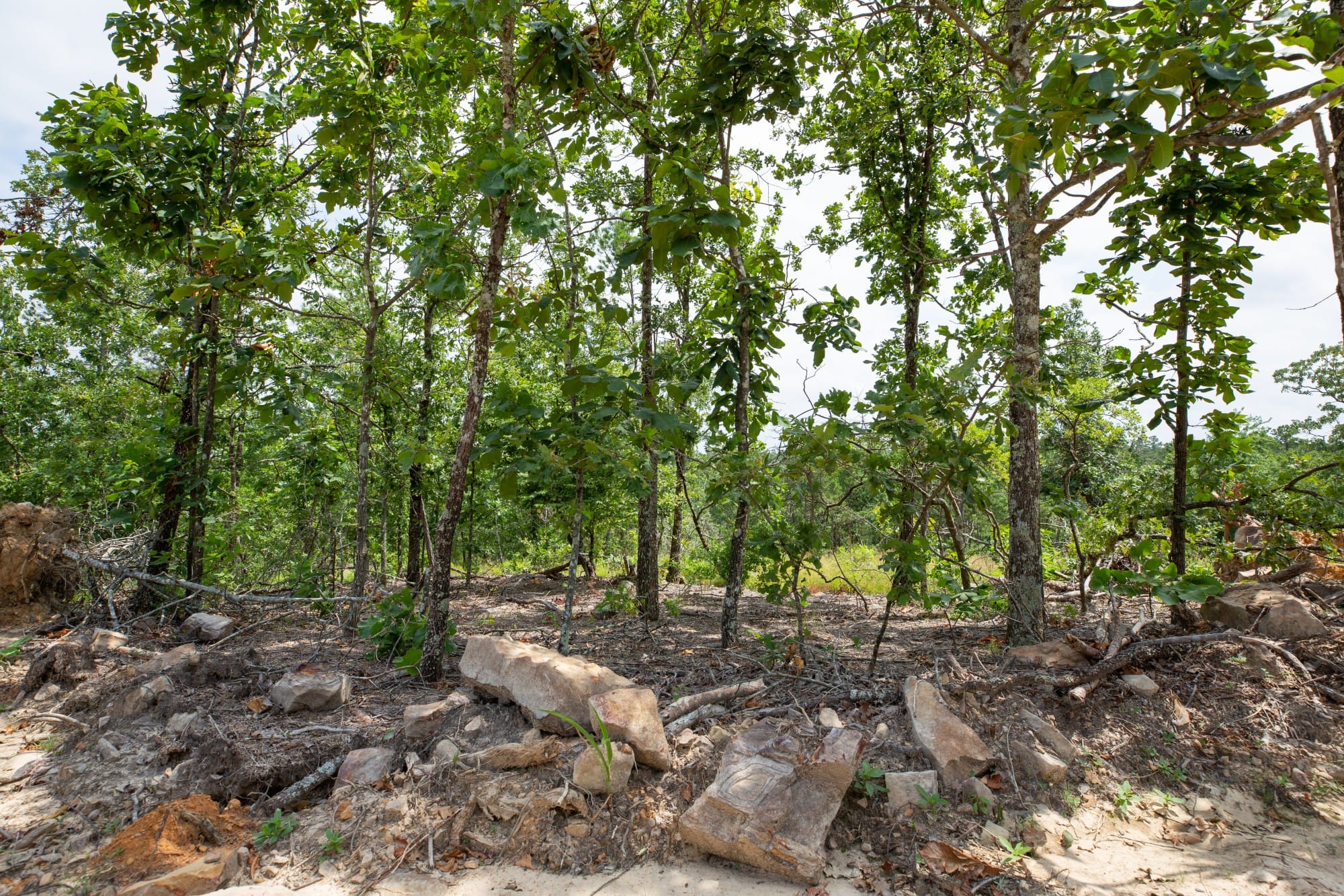 Eagle’s Nest Tract 27 photo 5