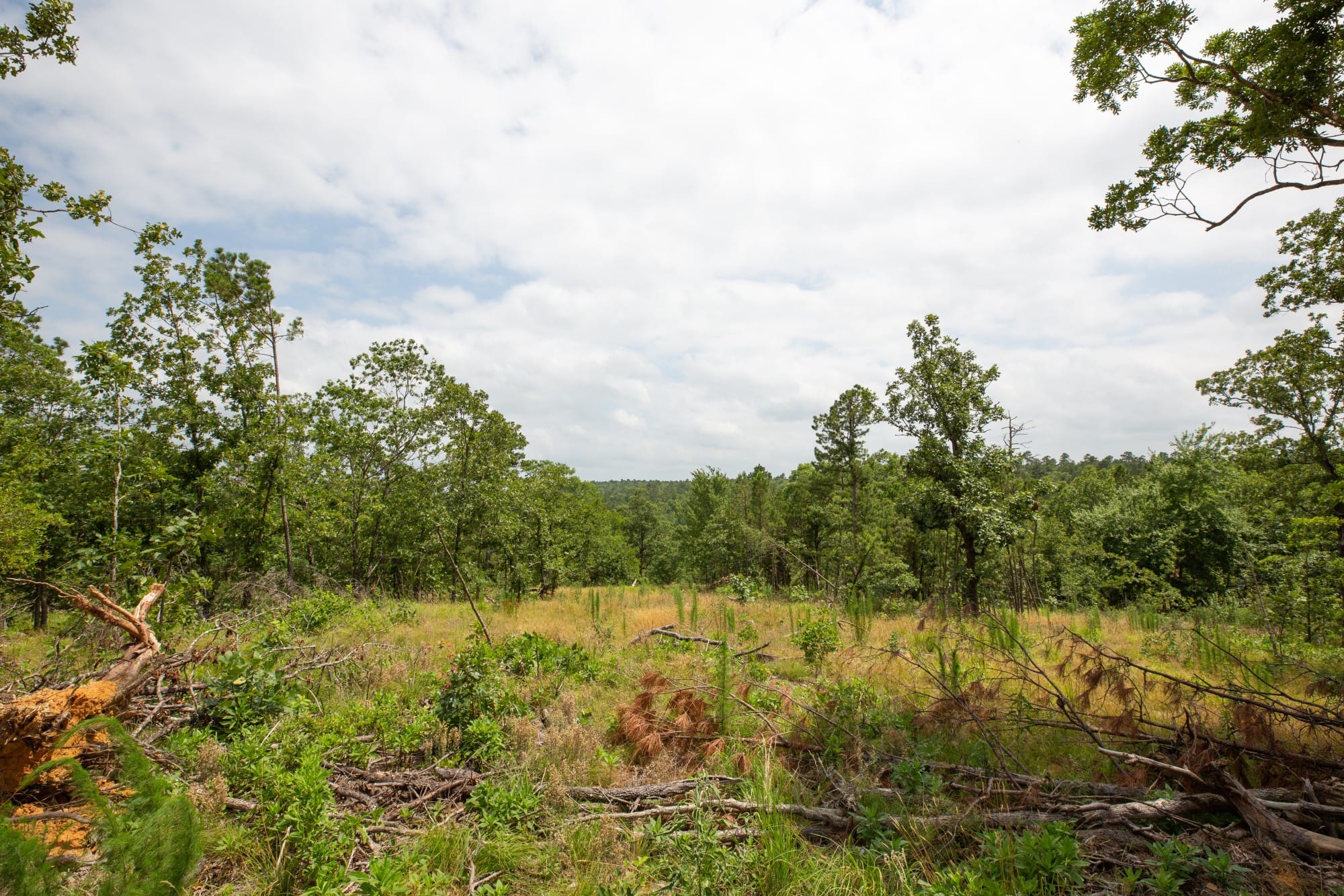 Eagle’s Nest Tract 27 photo 7