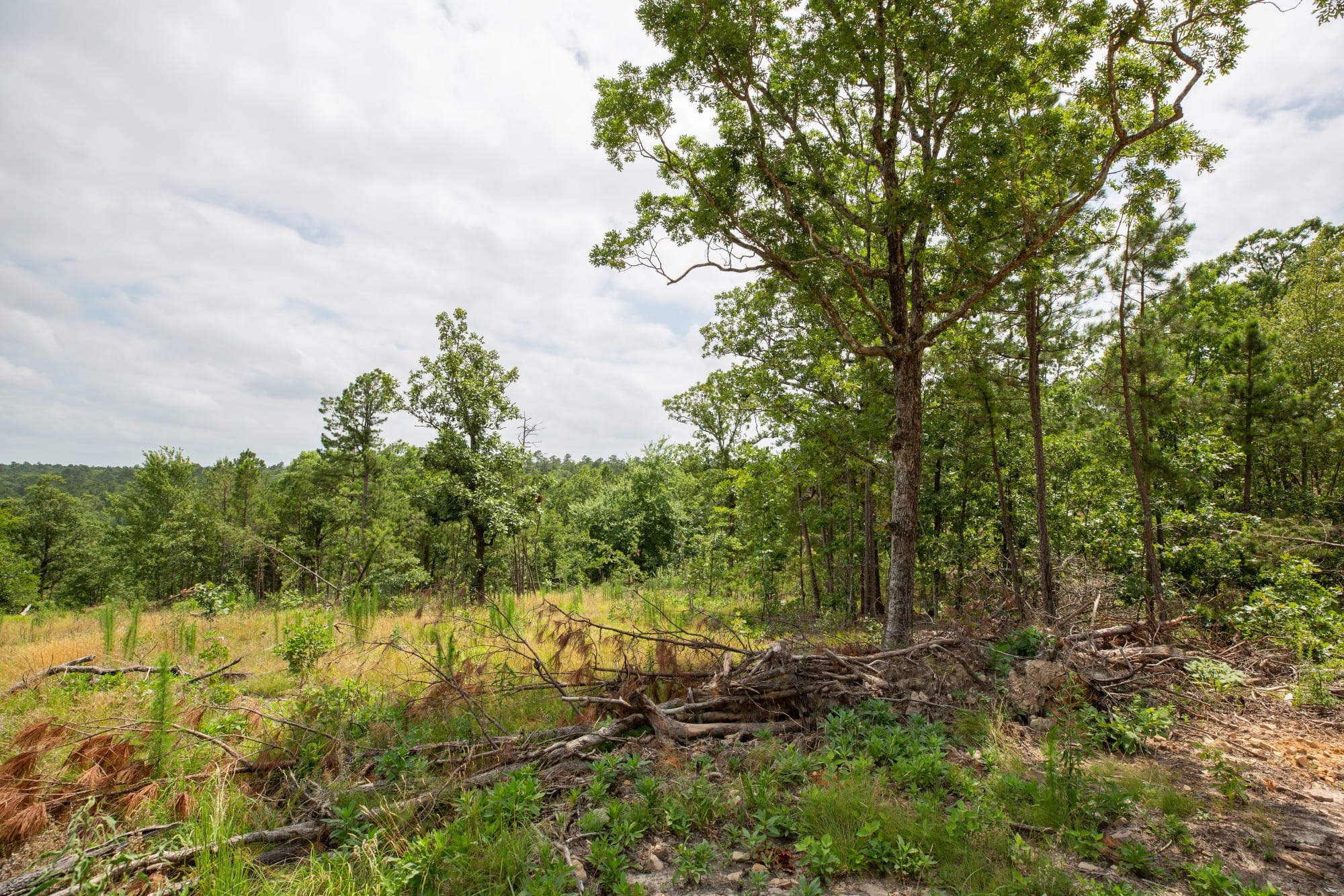 Eagle’s Nest Tract 27 photo 8