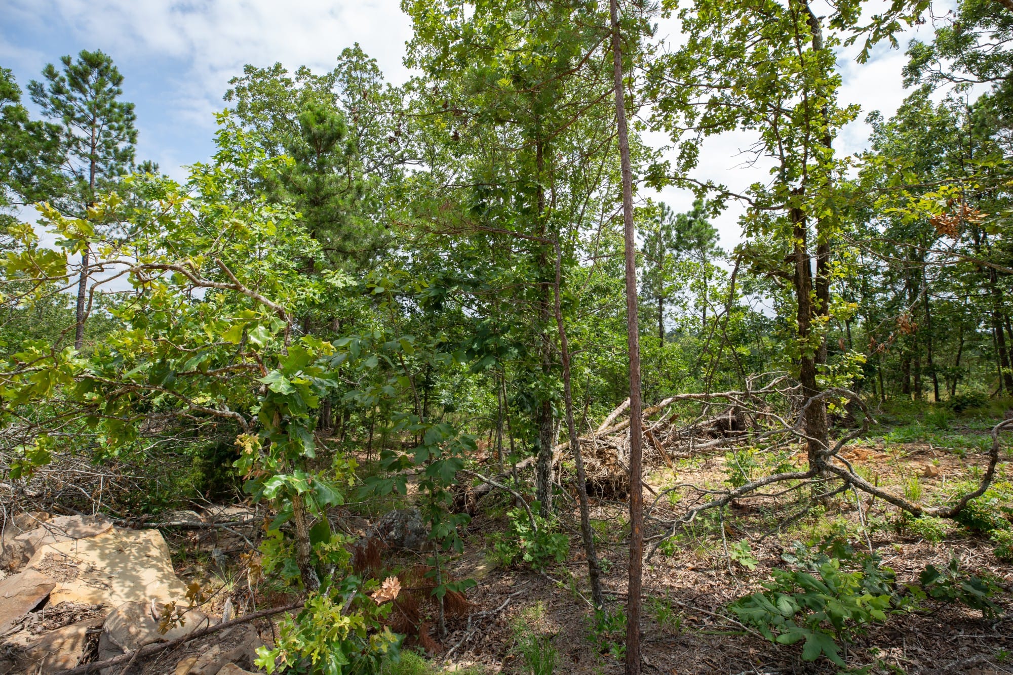 Eagle’s Nest Tract 27 photo 9