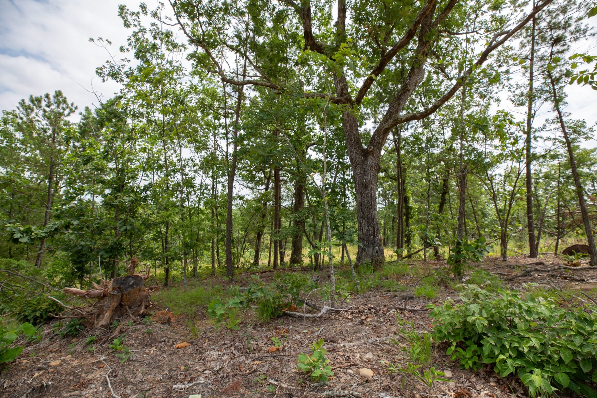 Eagle’s Nest Tract 27 photo 10
