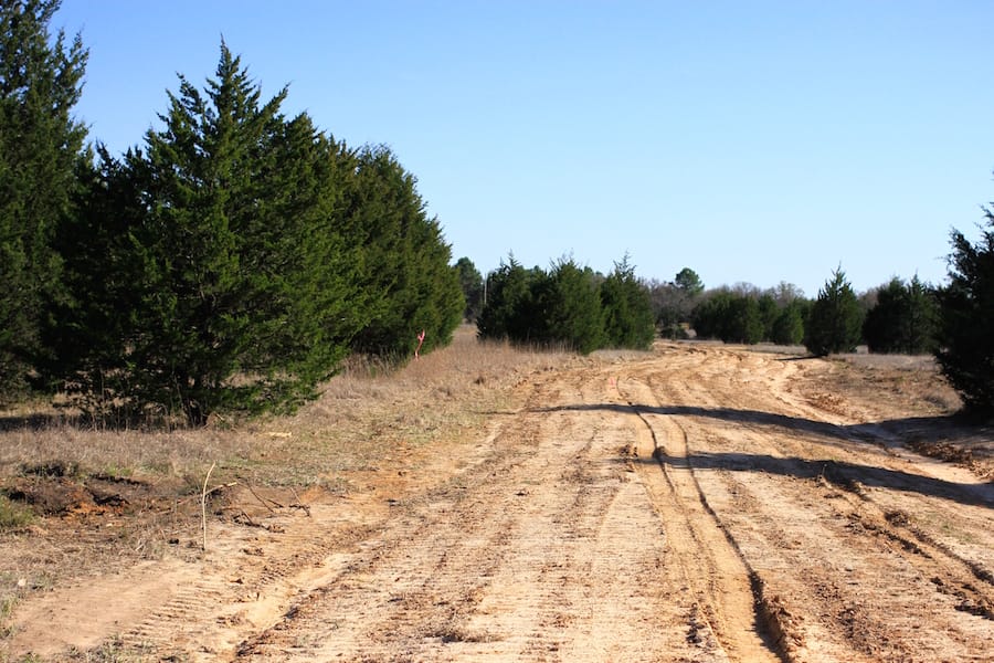 Montgomery Ranch Tract 18 photo 3