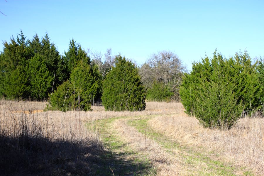 Montgomery Ranch Tract 18 photo 6