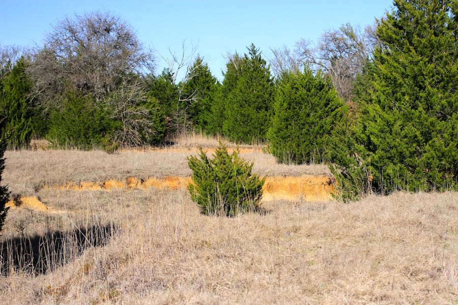 Montgomery Ranch Tract 18 photo 8
