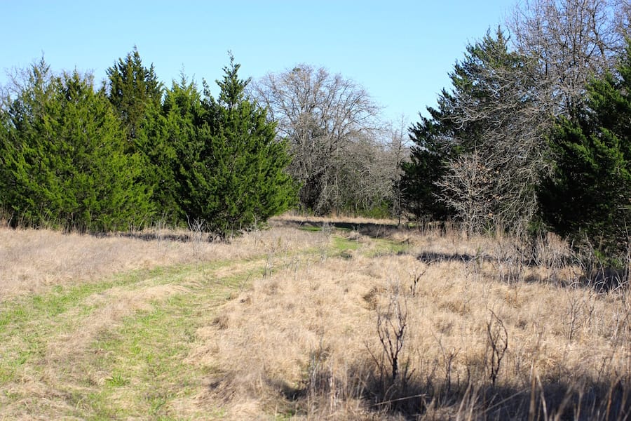 Montgomery Ranch Tract 18 photo 9