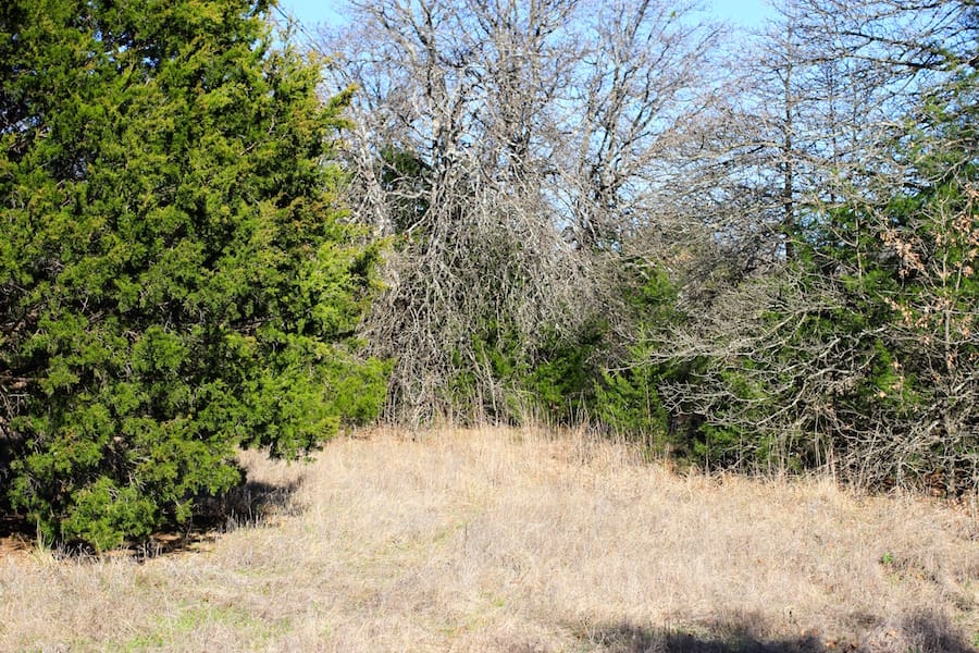 Montgomery Ranch Tract 18 photo 11