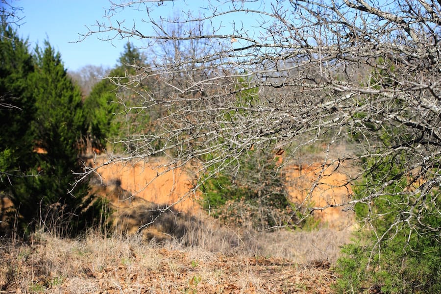 Montgomery Ranch Tract 18 photo 13