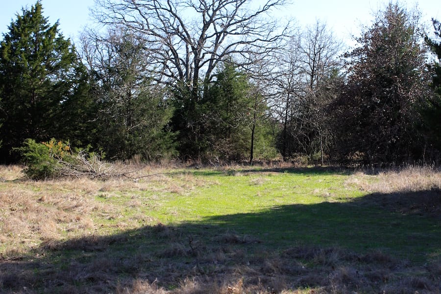 Montgomery Ranch Tract 18 photo 14