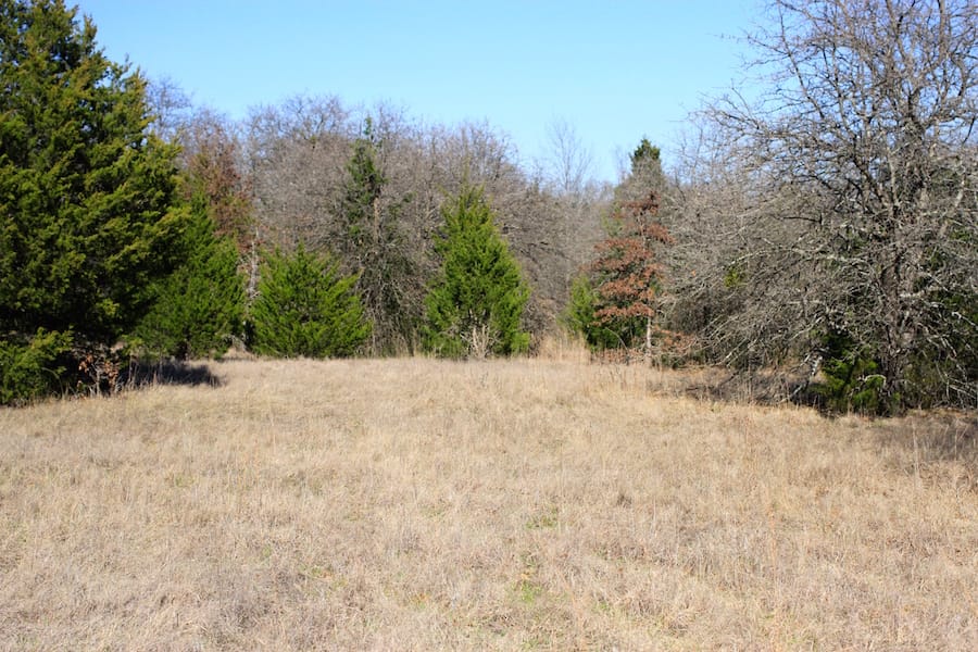 Montgomery Ranch Tract 18 photo 15