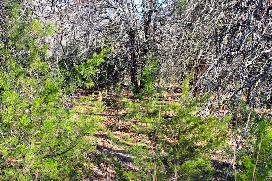 Montgomery Ranch Tract 18 photo 16