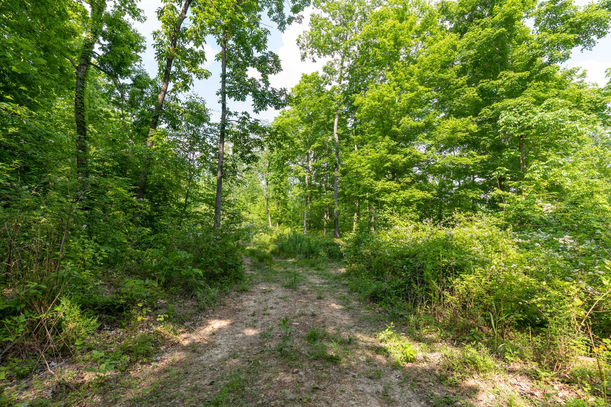 Cedar Creek Tract 23 photo 3