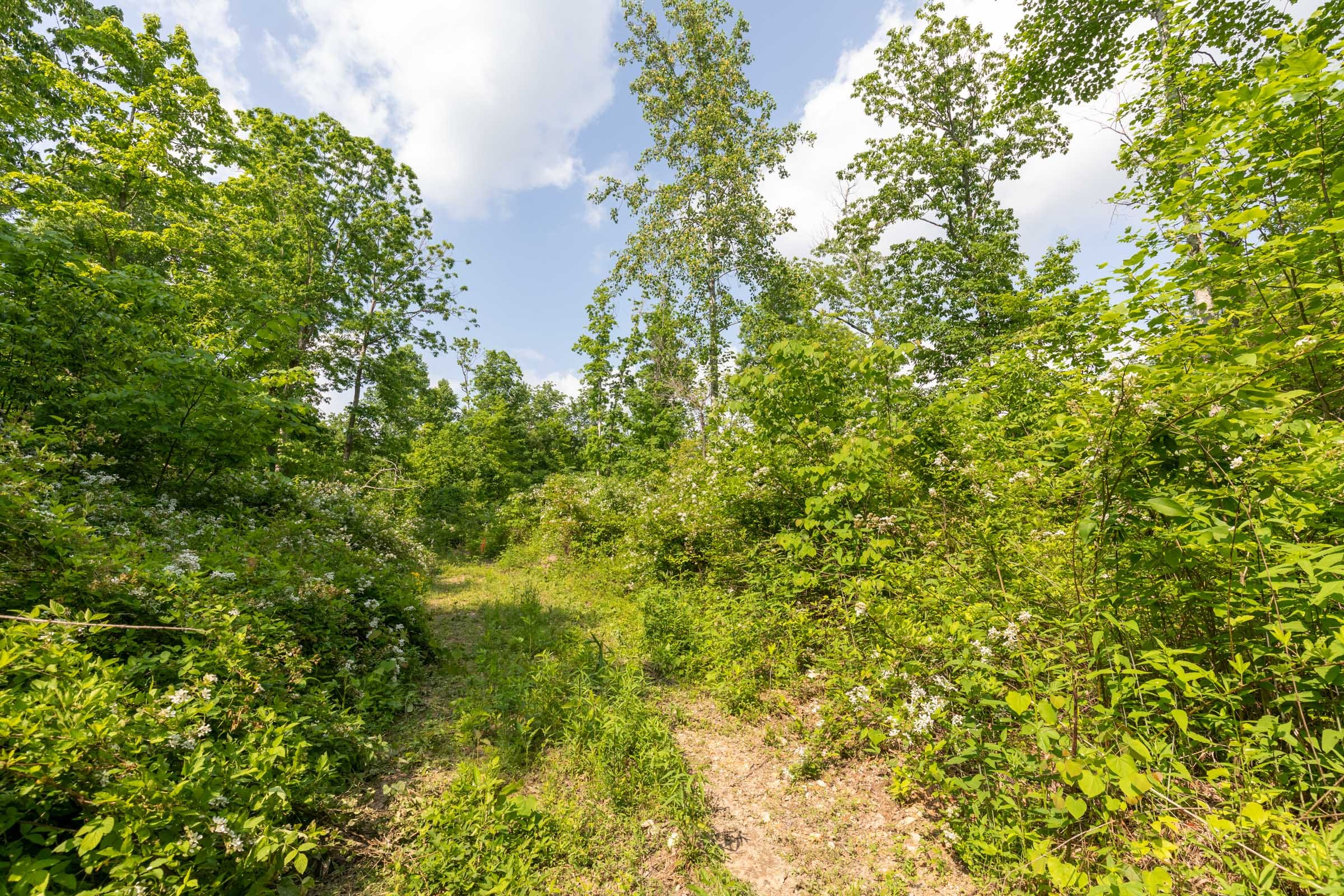 Cedar Creek Tract 23 photo 7