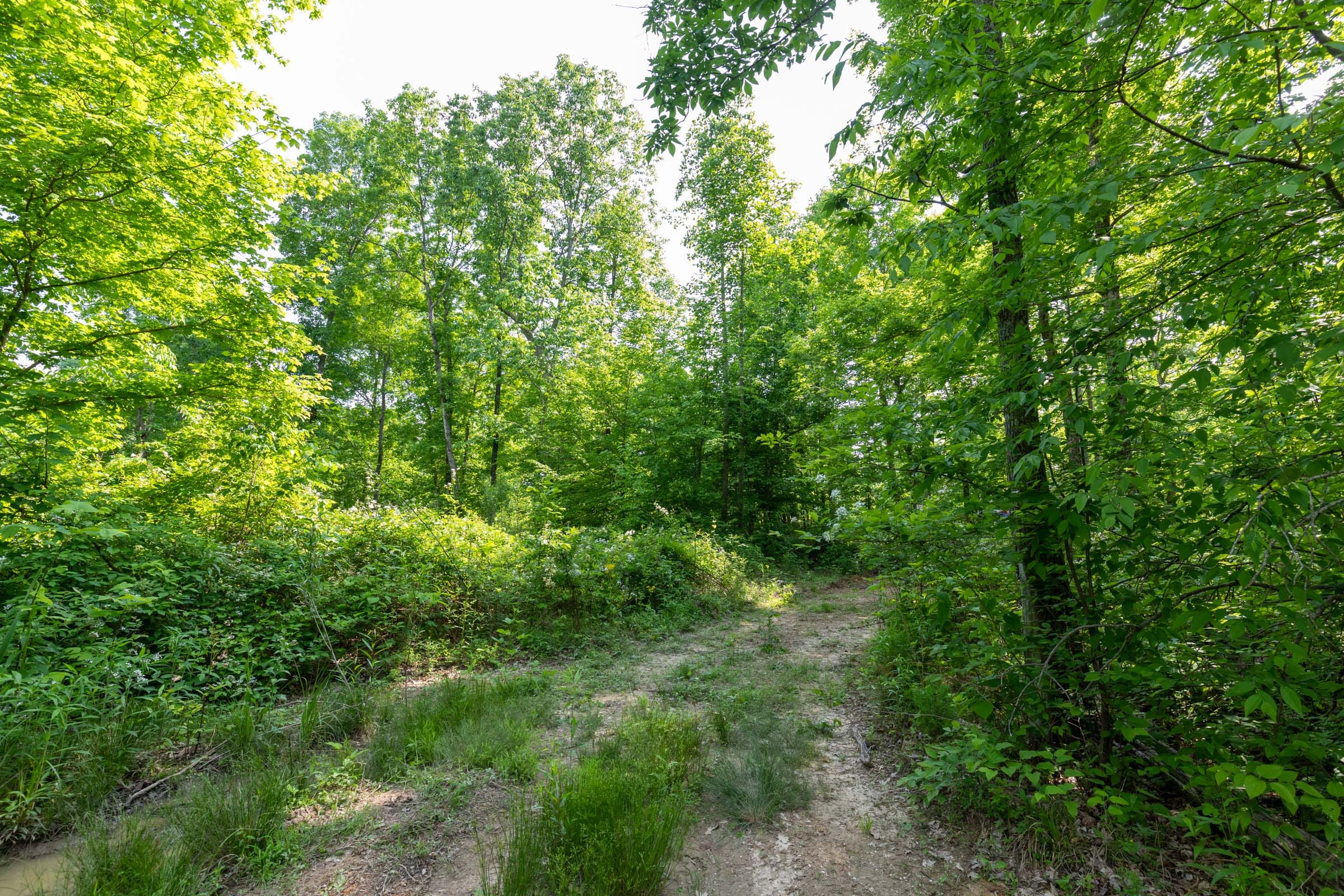 Cedar Creek Tract 23 photo 9