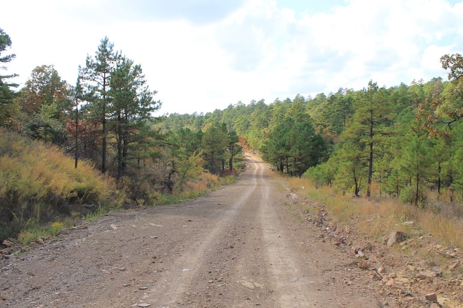 Indian Ridge – Phase III Tract 118 photo 2