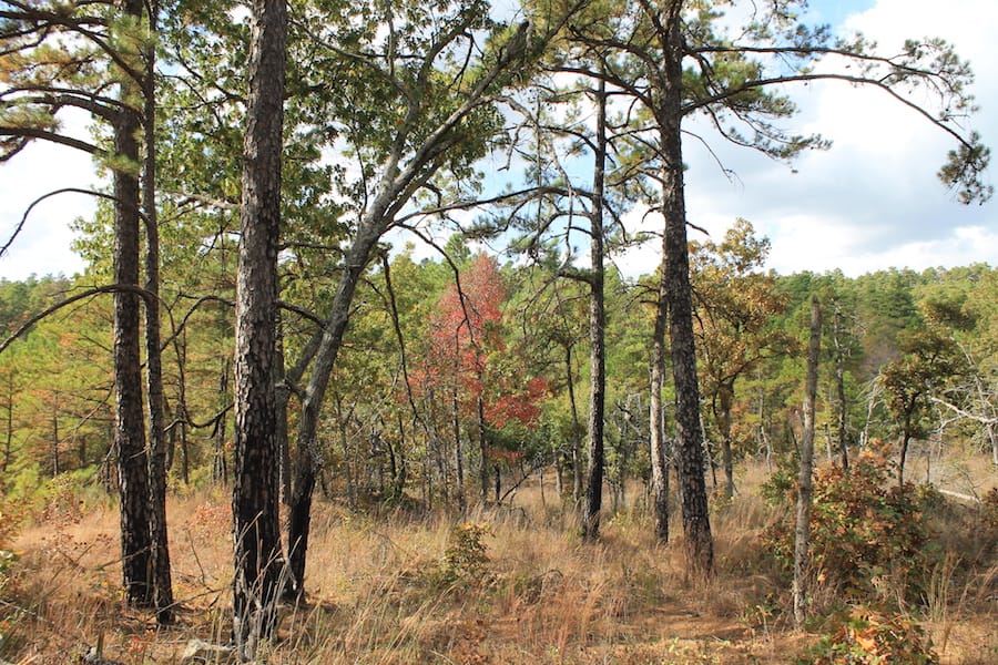 Indian Ridge – Phase III Tract 118 photo 3