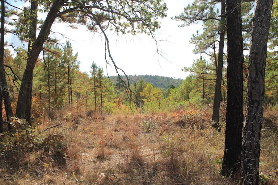Indian Ridge – Phase III Tract 118 photo 4