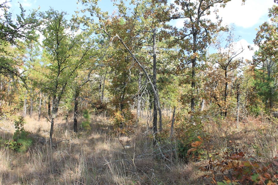 Indian Ridge – Phase III Tract 118 photo 5