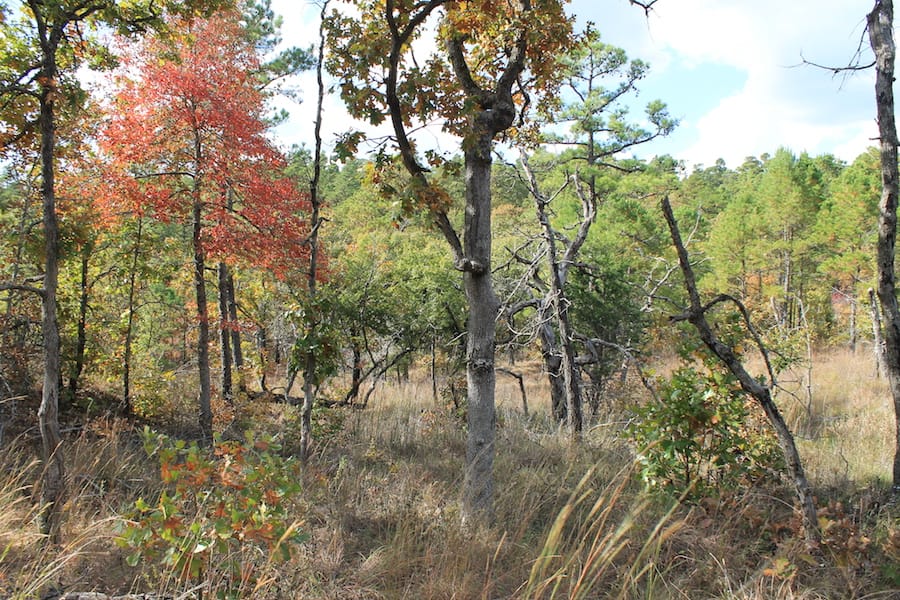 Indian Ridge – Phase III Tract 118 photo 6