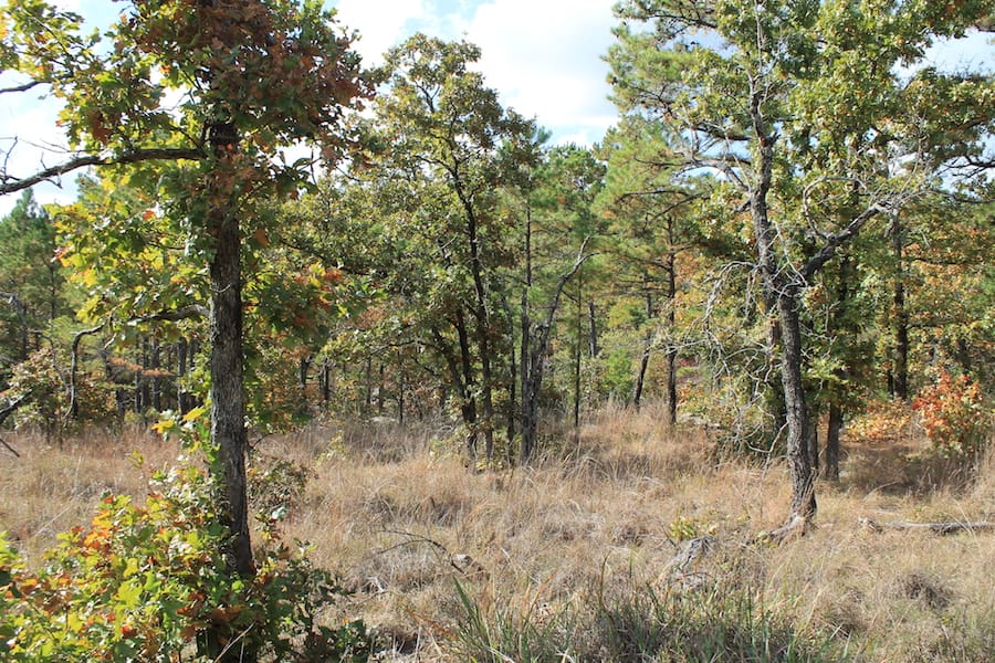 Indian Ridge – Phase III Tract 118 photo 7
