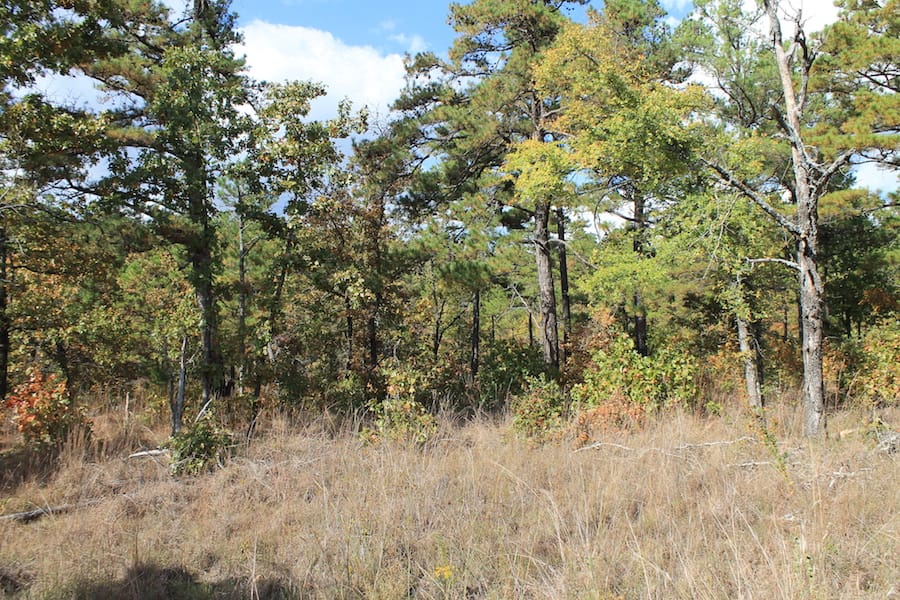 Indian Ridge – Phase III Tract 118 photo 8