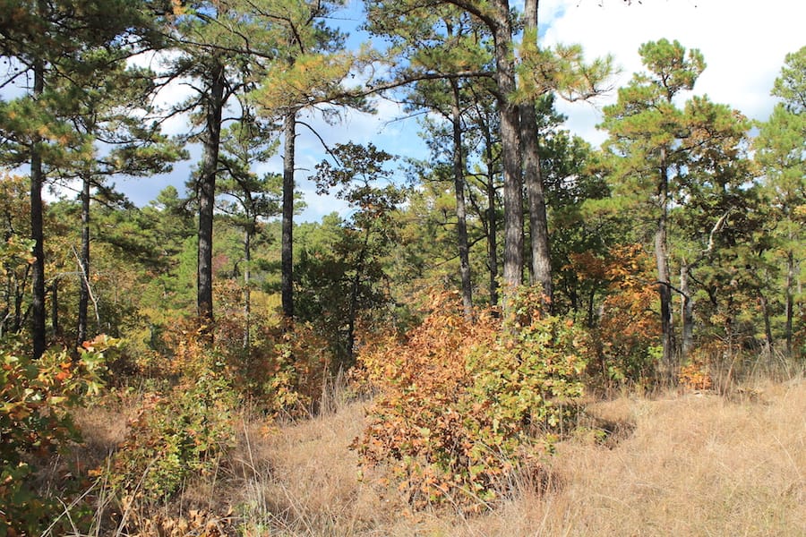Indian Ridge – Phase III Tract 118 photo 9