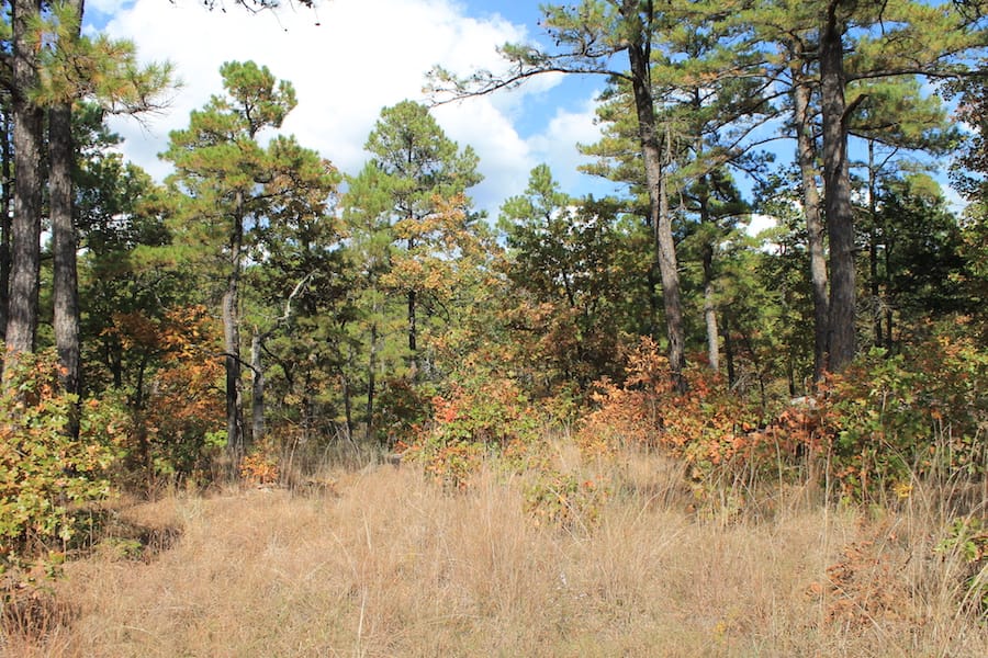 Indian Ridge – Phase III Tract 118 photo 10
