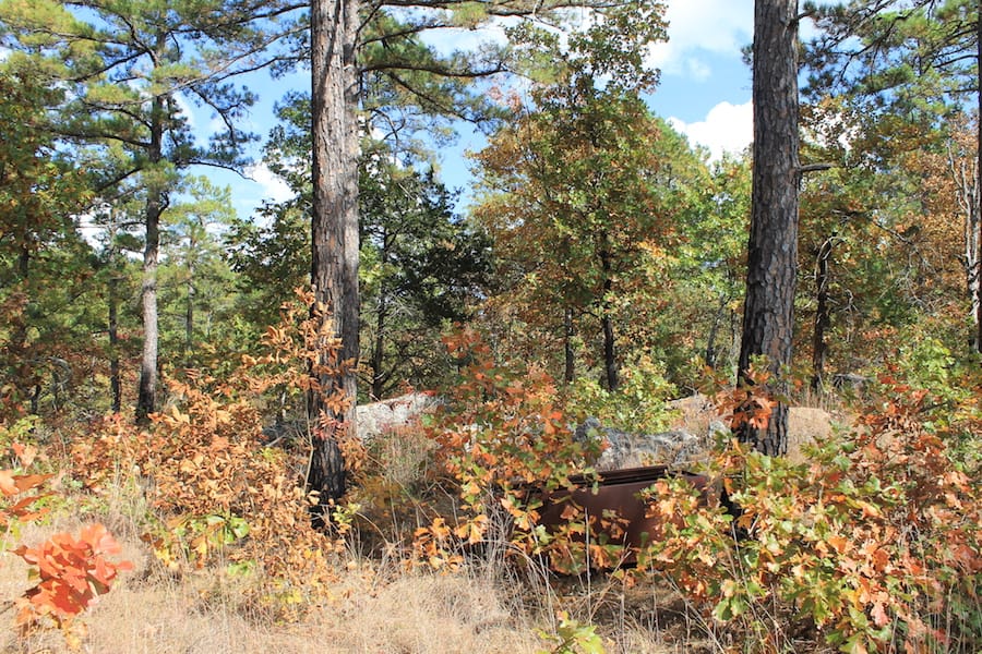 Indian Ridge – Phase III Tract 118 photo 11