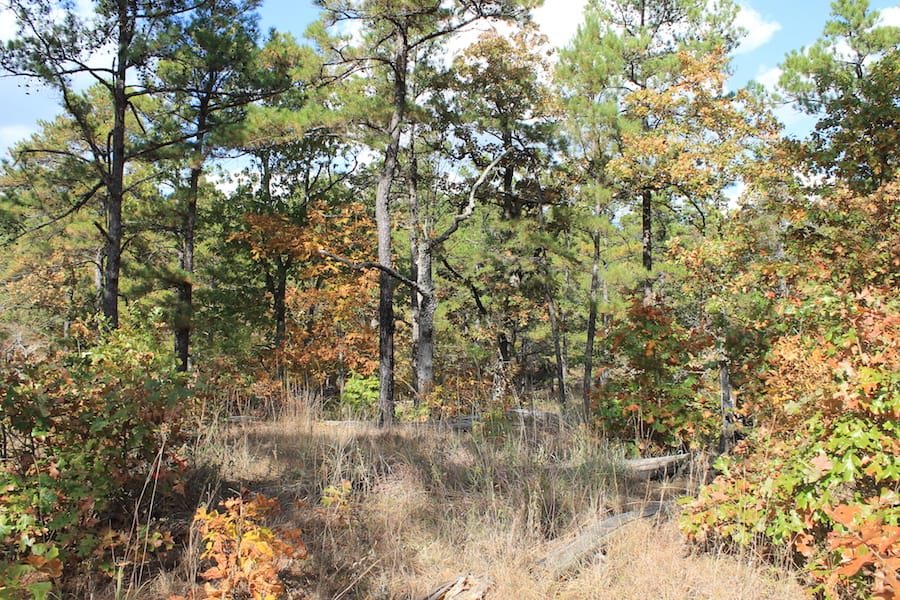 Indian Ridge – Phase III Tract 118 photo 12