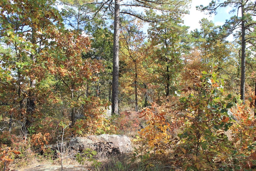 Indian Ridge – Phase III Tract 118 photo 14