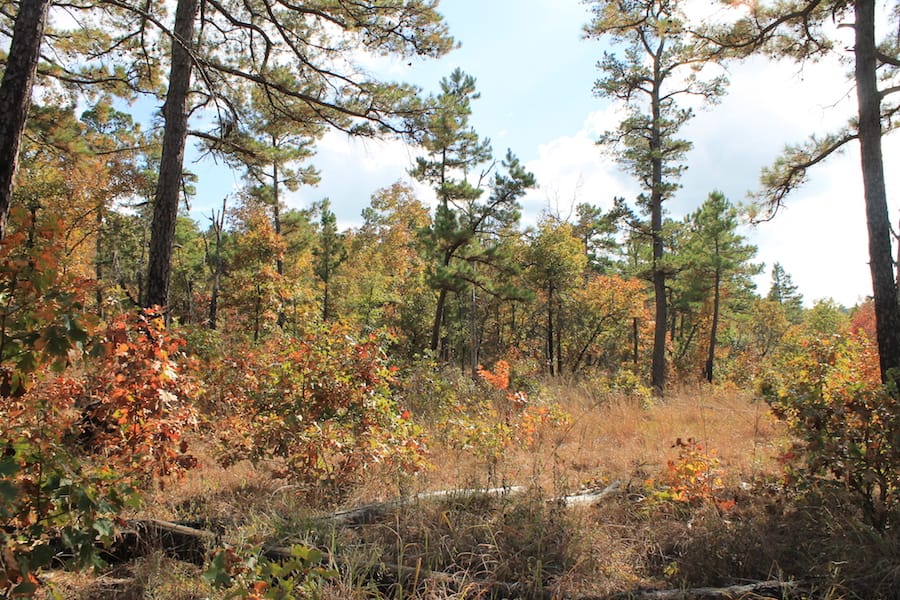 Indian Ridge – Phase III Tract 118 photo 15