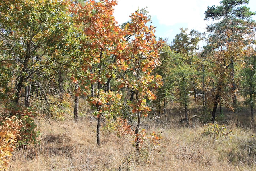 Indian Ridge – Phase III Tract 118 photo 17