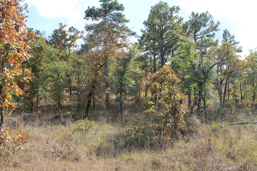 Indian Ridge – Phase III Tract 118 photo 18