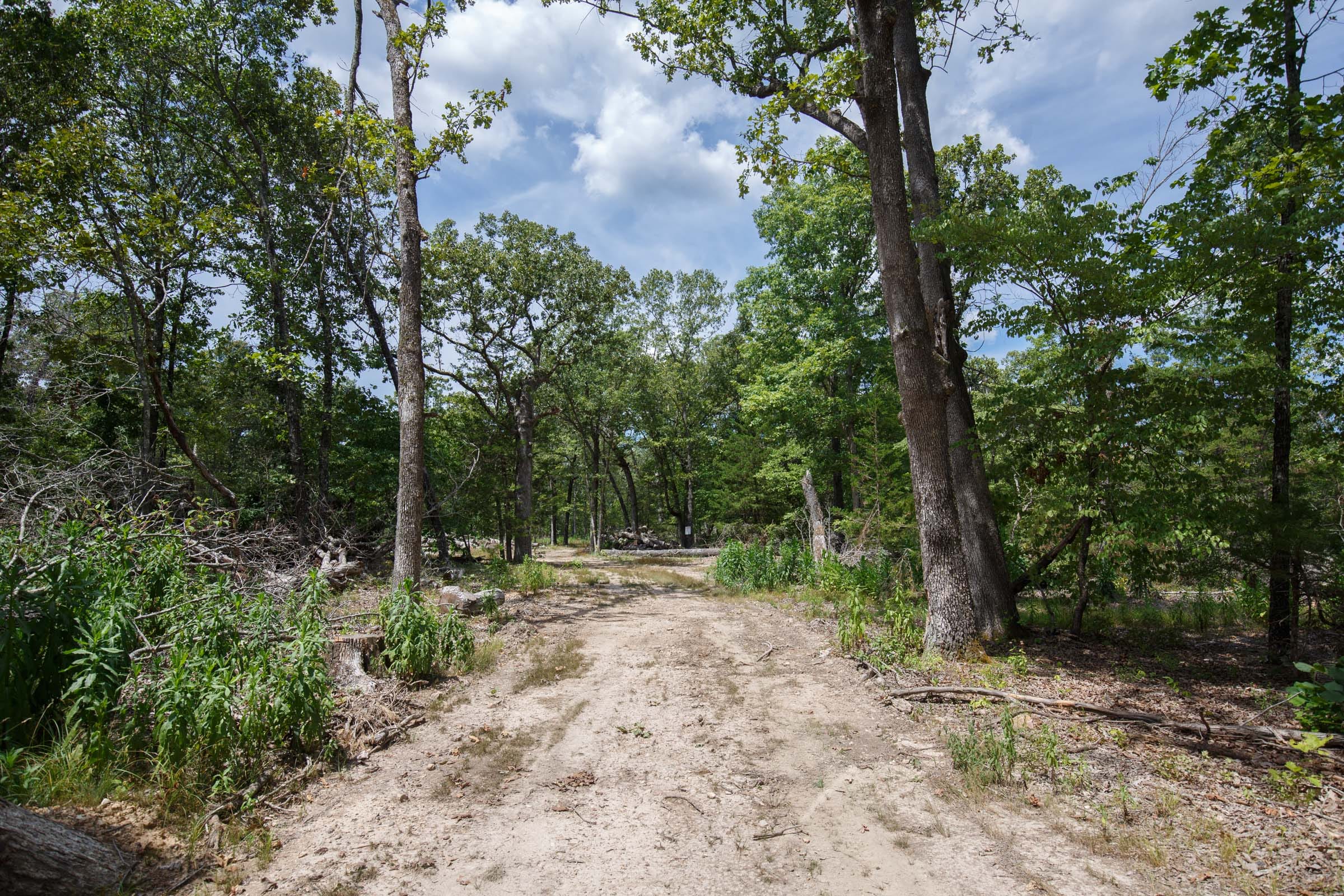 Wildwood Tract 8 photo 1