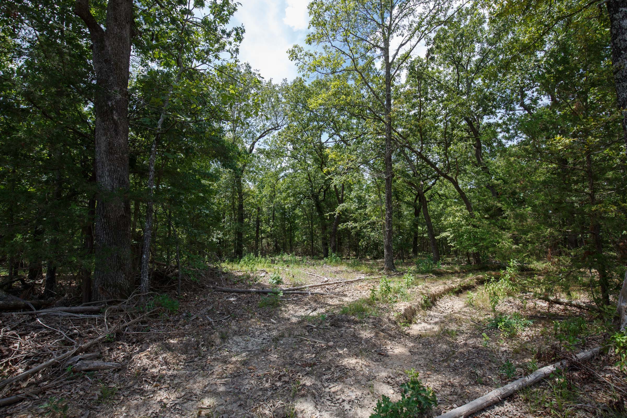 Wildwood Tract 8 photo 8