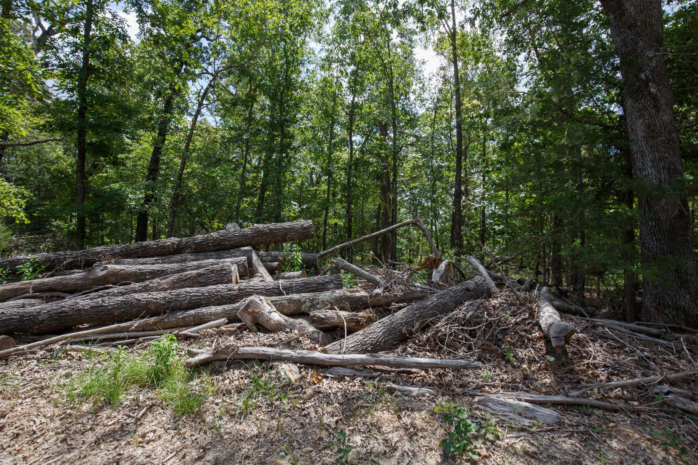 Wildwood Tract 8 photo 9