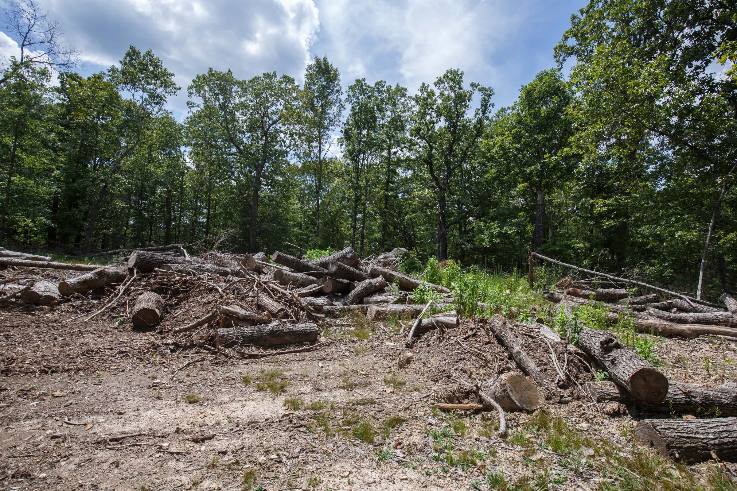 Wildwood Tract 8 photo 10