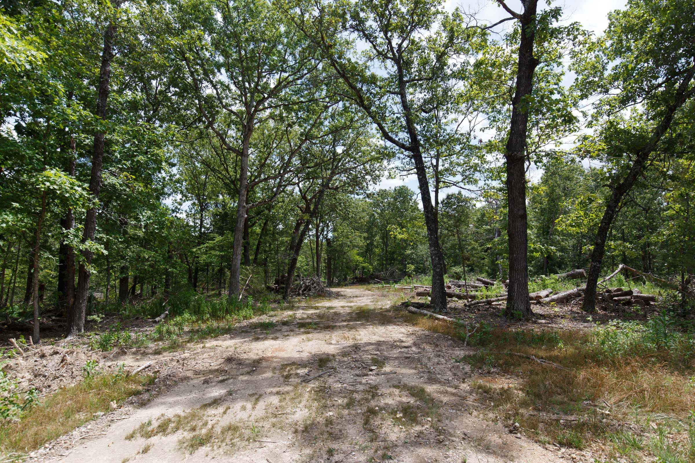 Wildwood Tract 8 photo 5
