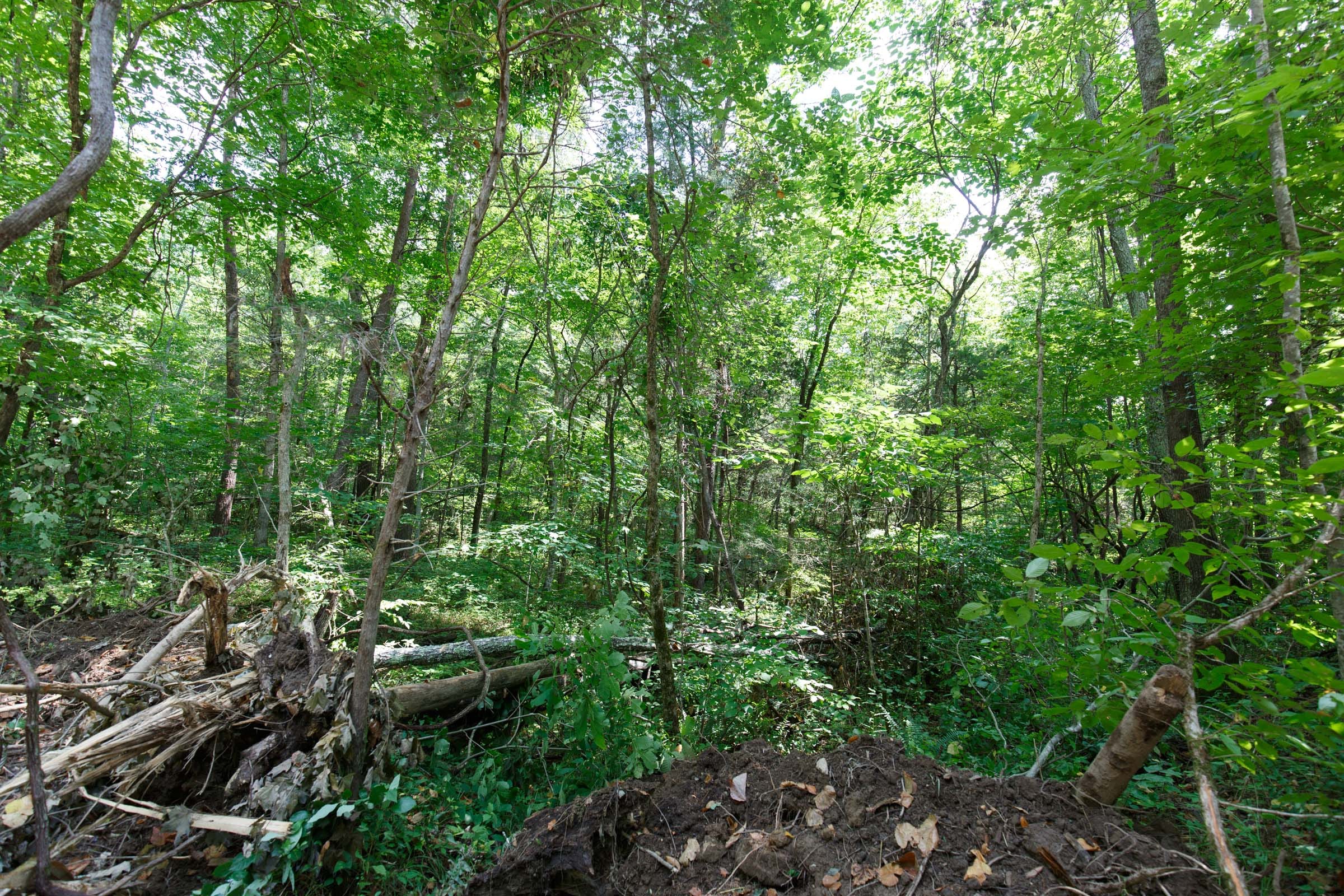 Rolling Hills Tract 6 photo 4