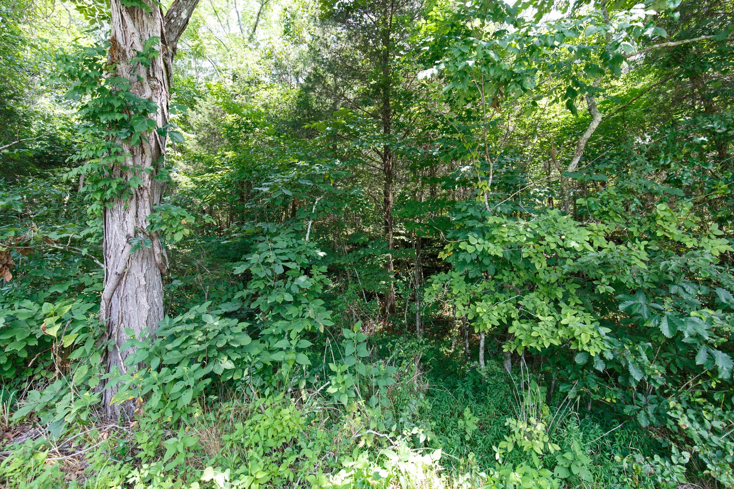Rolling Hills Tract 6 photo 5