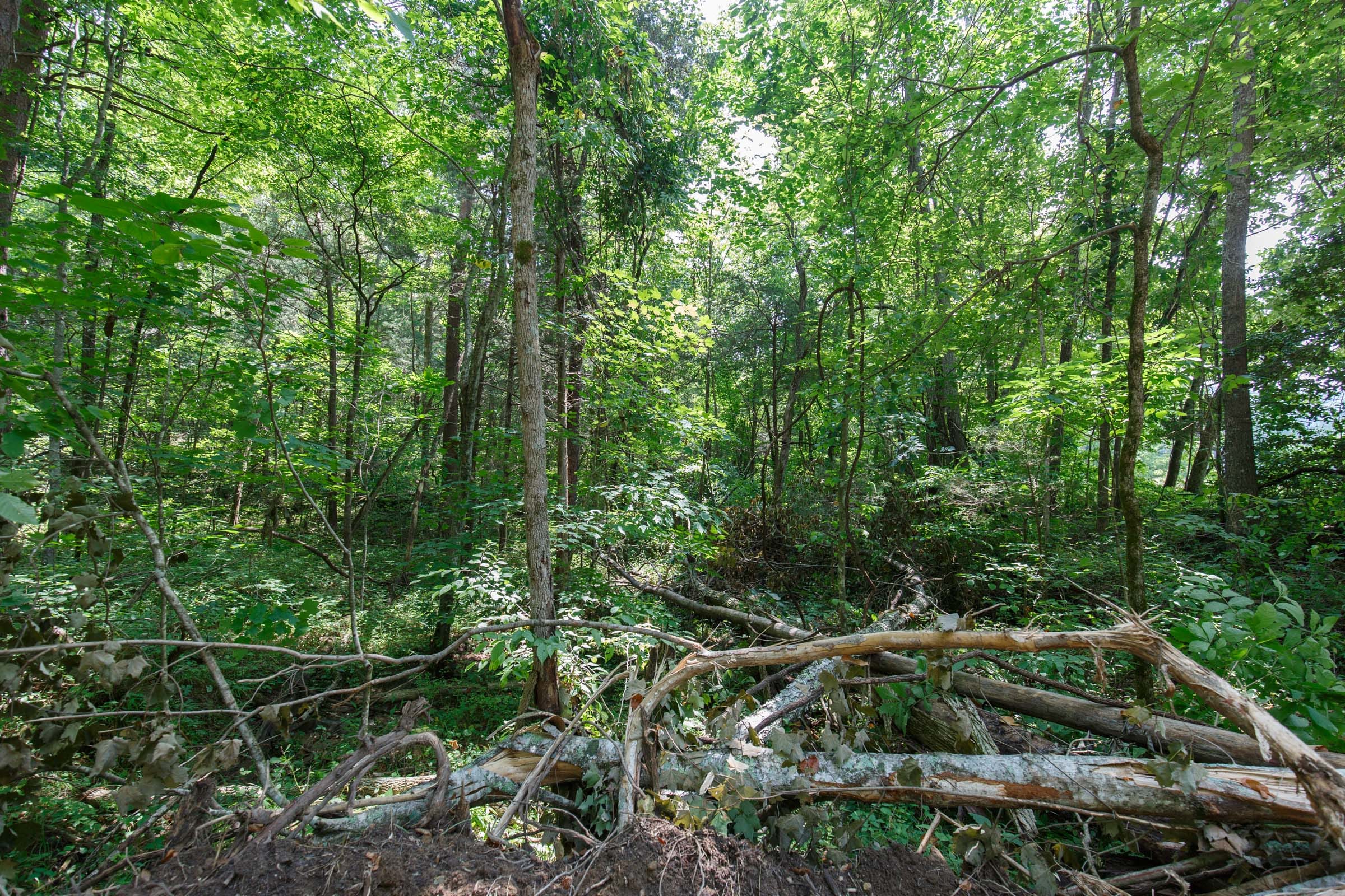 Rolling Hills Tract 6 photo 7