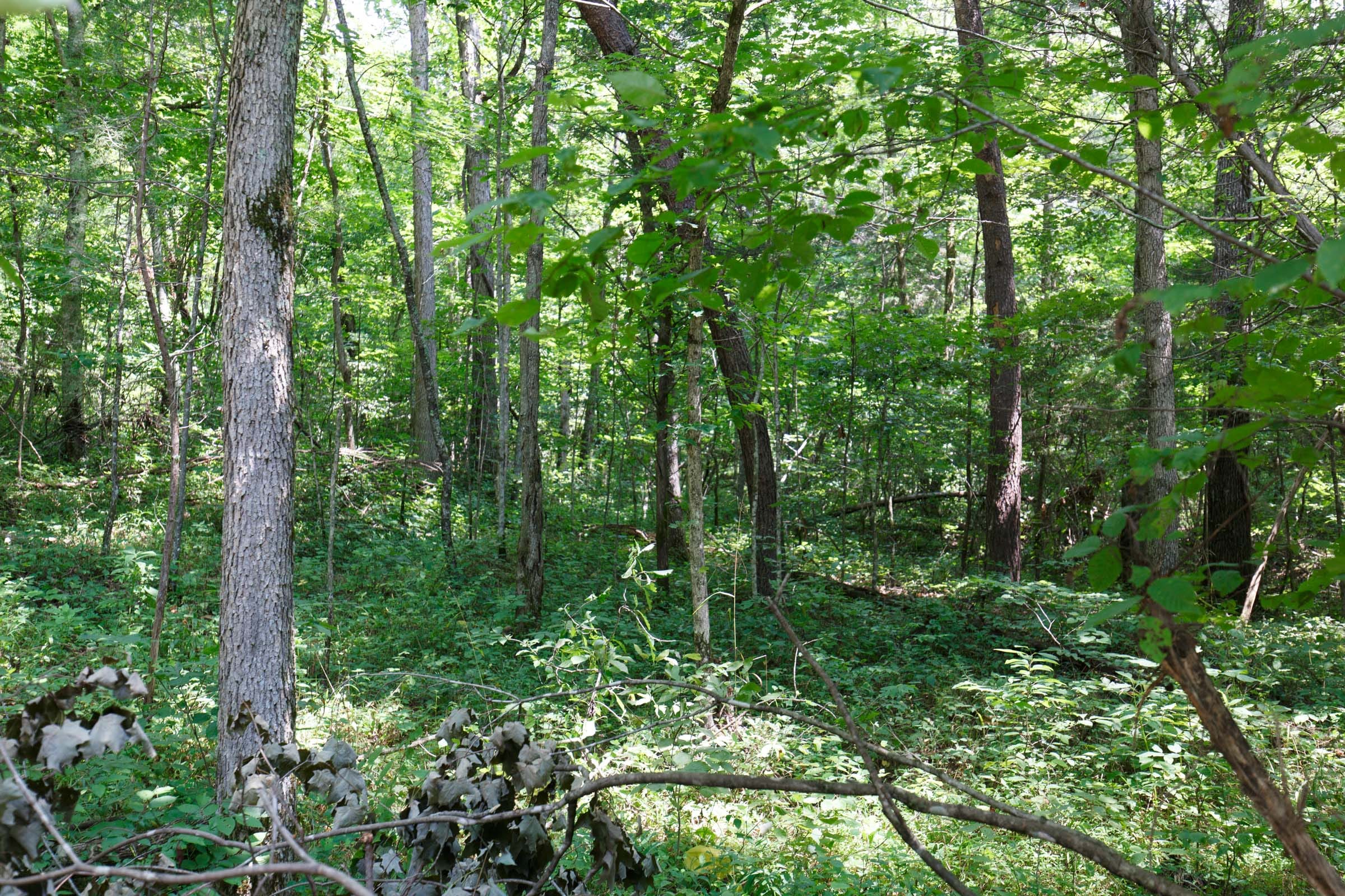 Rolling Hills Tract 6 photo 8