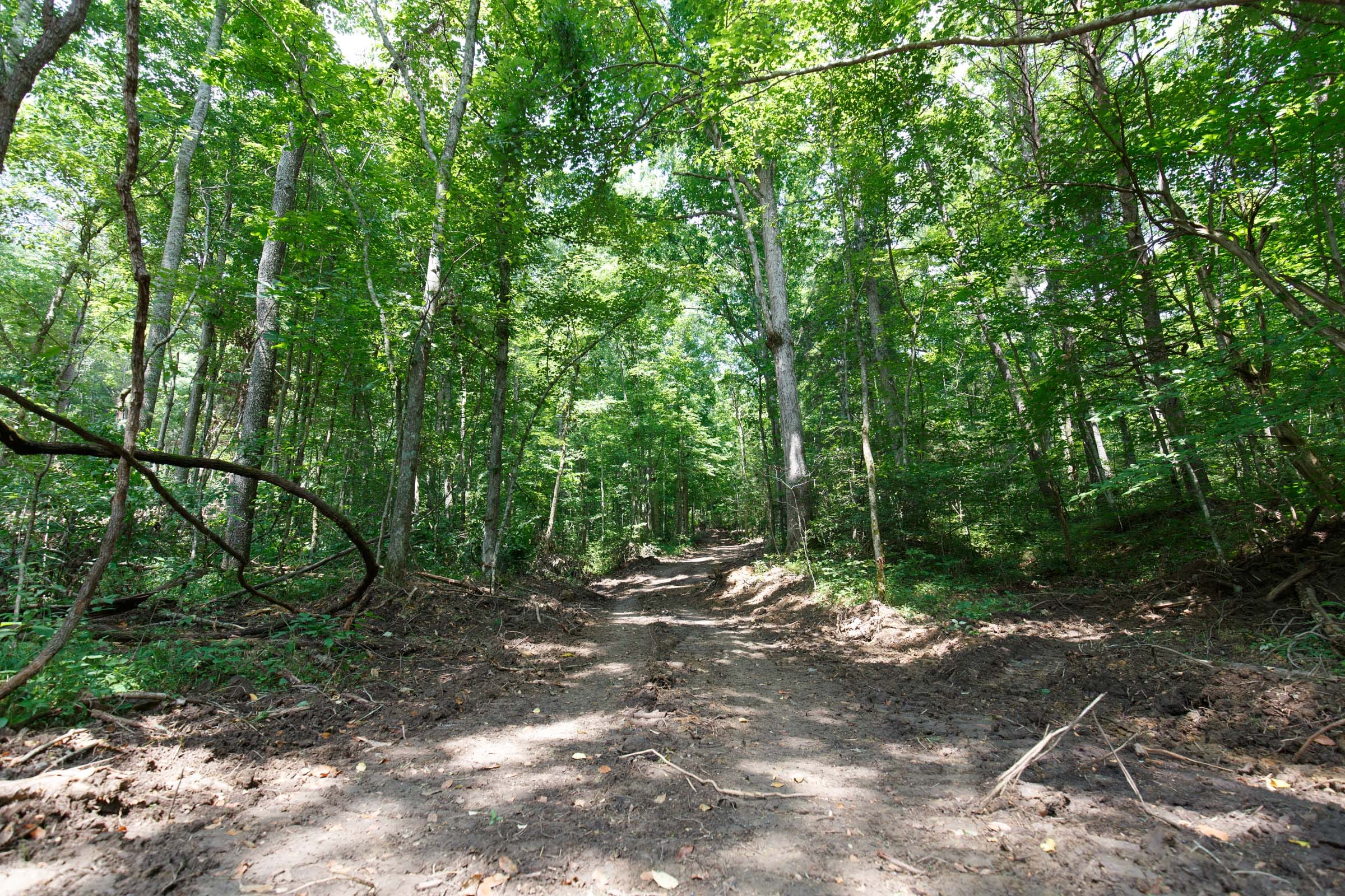 Rolling Hills Tract 6 photo 9