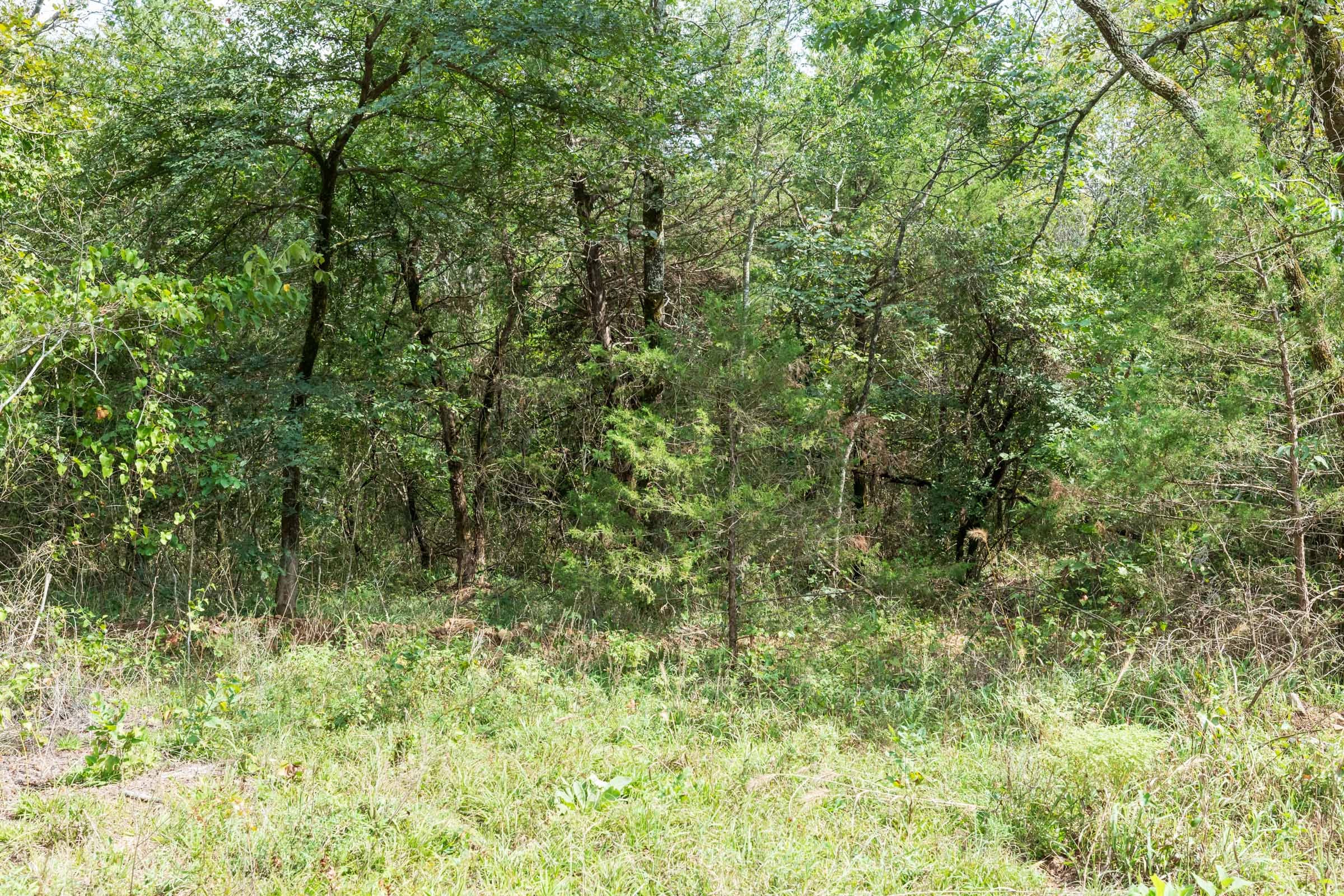 Stone Bridge Phase V Tract 409 photo 11