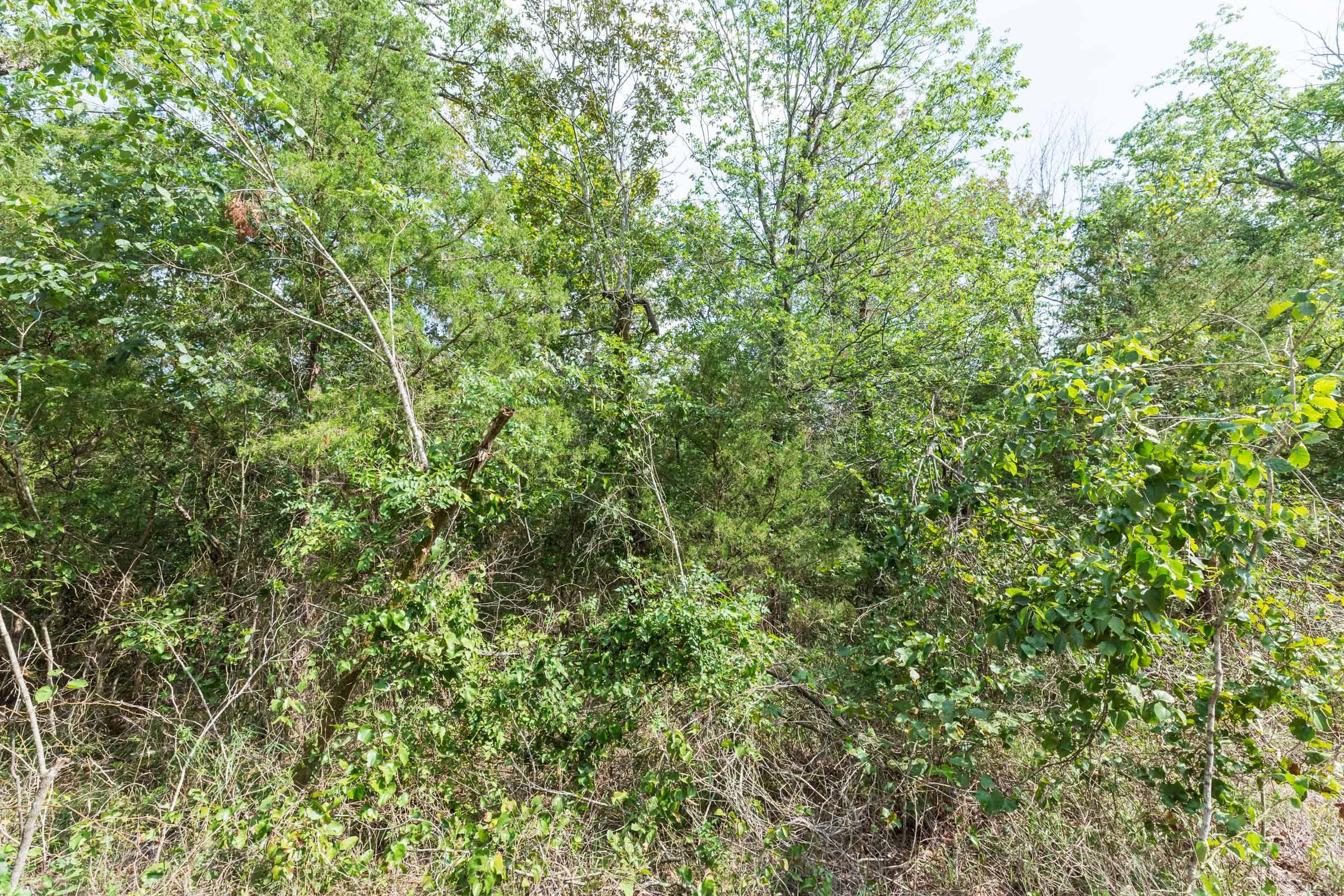 Stone Bridge Phase V Tract 409 photo 12