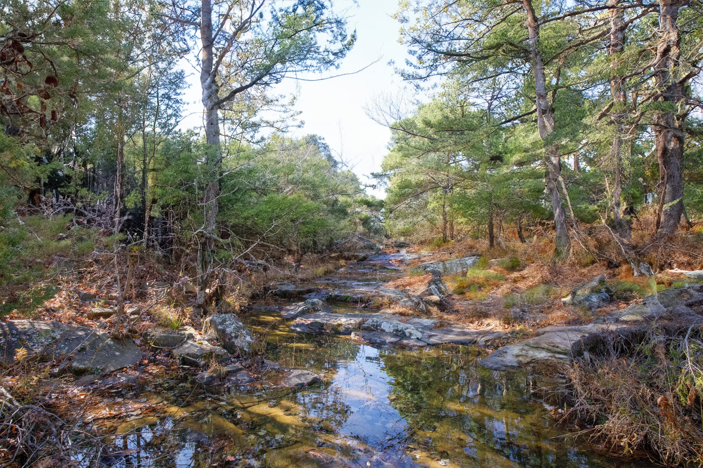 Stone Bridge Phase V Tract 409 photo 13