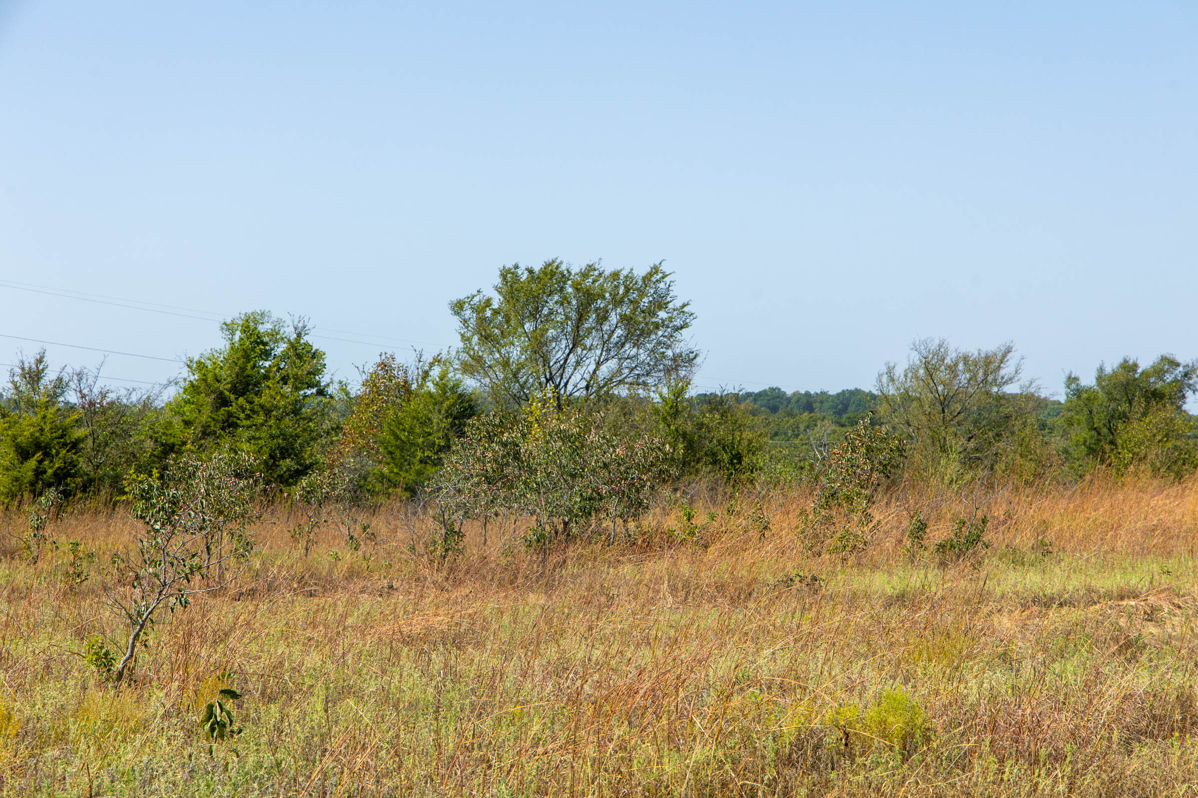 Gracyn Meadows Tract 8 photo 7